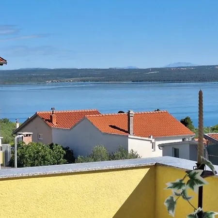 Lily With A Spectacular Wiew