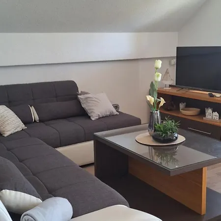 Lily With A Spectacular Wiew