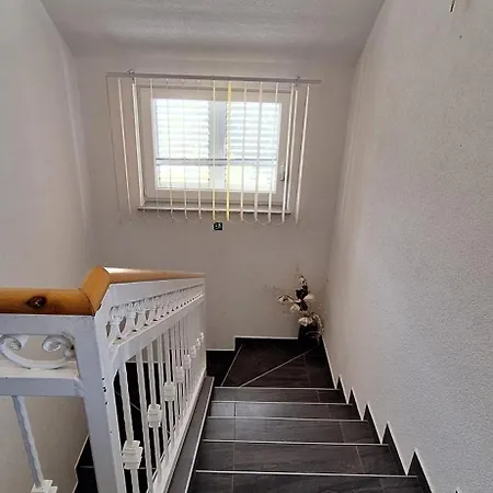 Lily With A Spectacular Wiew *