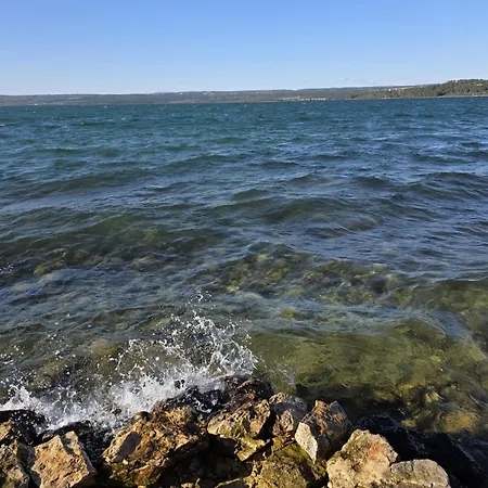 Lily With A Spectacular Wiew