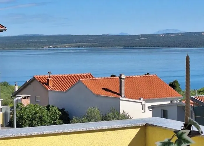 Lily With A Spectacular Wiew