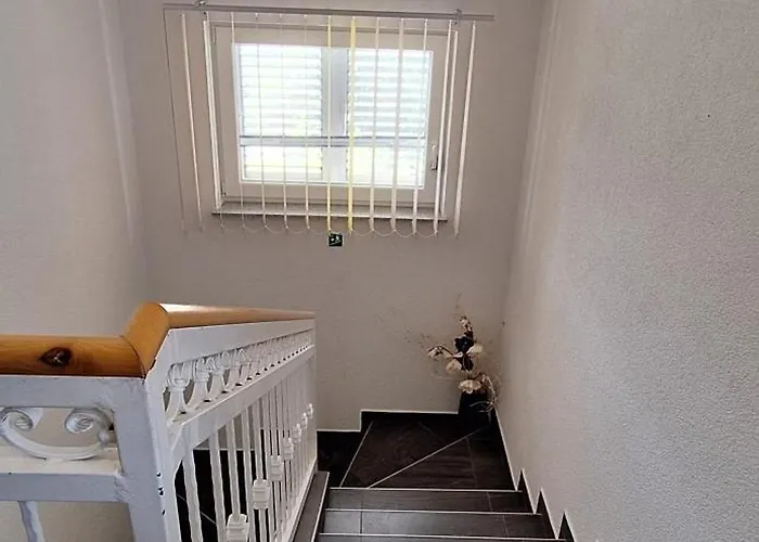 Lily With A Spectacular Wiew *