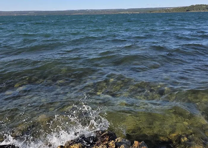 Lily With A Spectacular Wiew